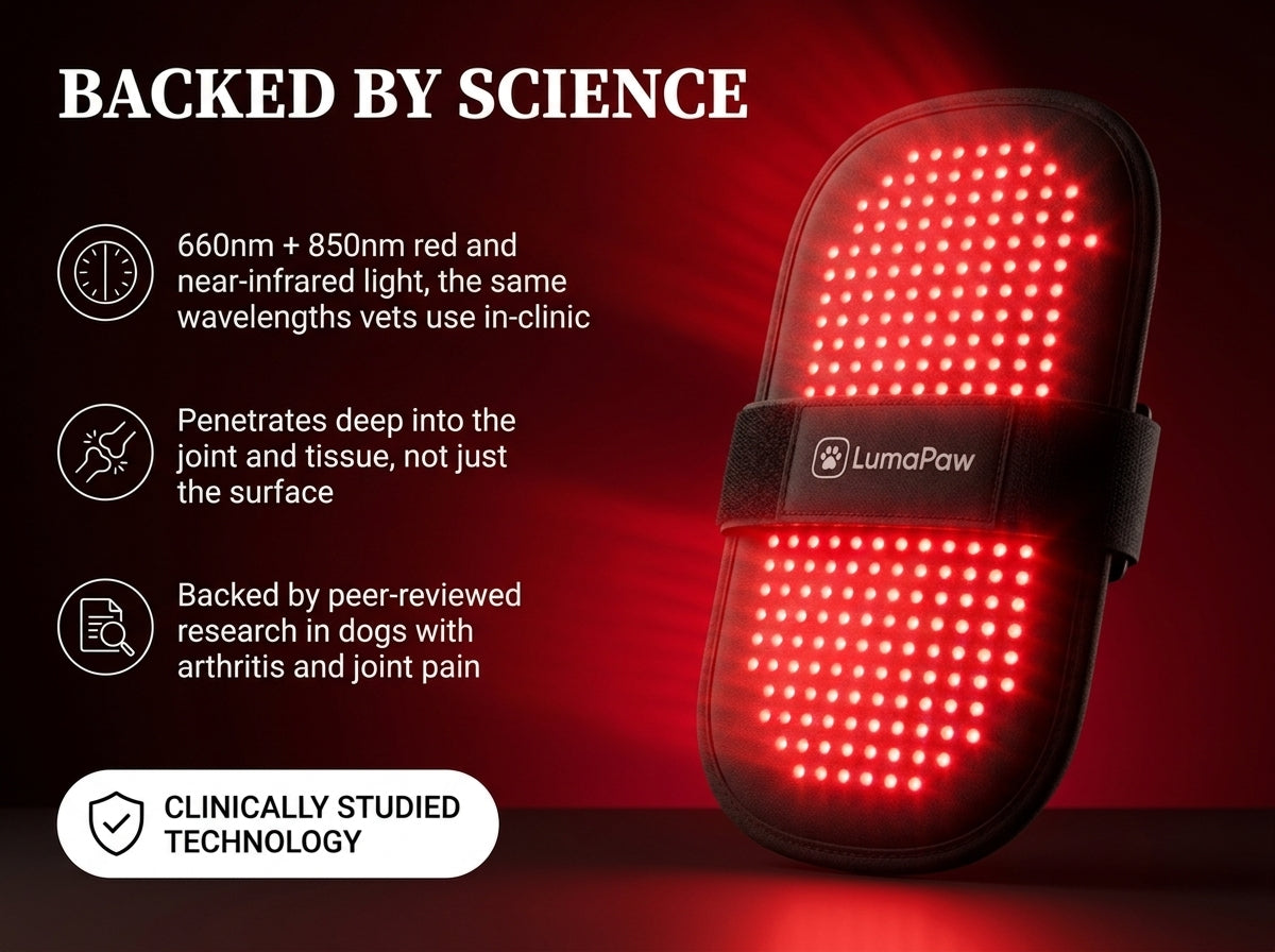 LumaPaw Dual-Depth™ Red Light Therapy Pad