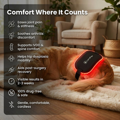 LumaPaw Dual-Depth™ Light Therapy Pad