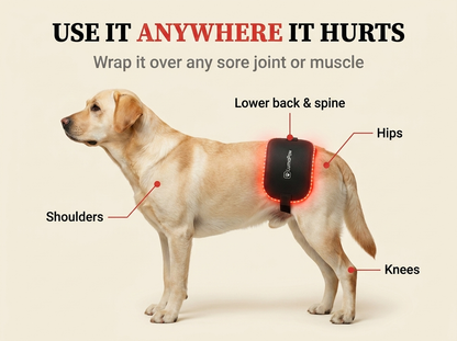 LumaPaw Dual-Depth™ Light Therapy Pad