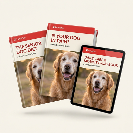 🎁 LumaPaw eBook Bundle (100% off)